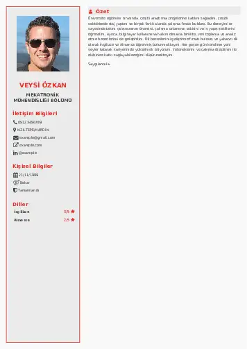 Mekatronik Mühendisliği Cv Örnekleri cv indir